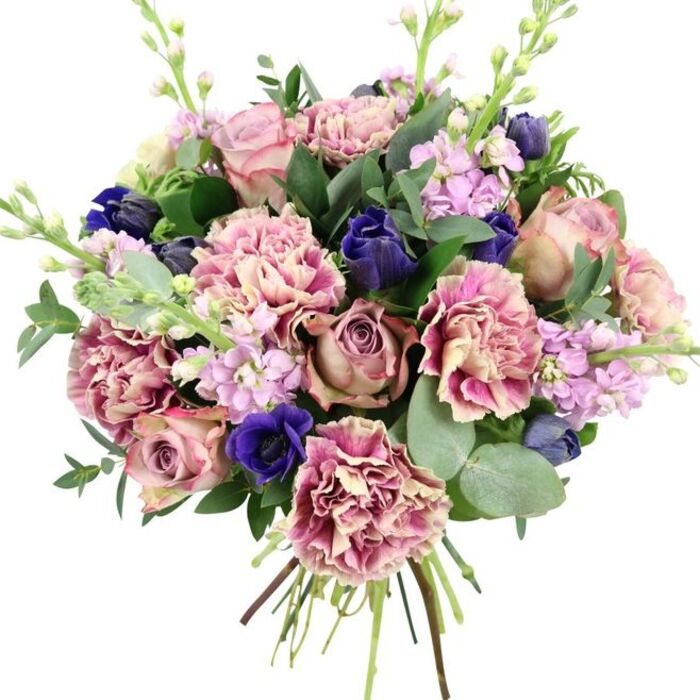 Captured against a bright white background, this hand-tied arrangement looks like it has just been lifted from the workbench of a skilled Hither Green florist. At the centre, lush garden roses in shades of blush pink, dusty mauve, and antique rose unfurl in layered spirals, forming a soft, romantic core that anchors the design. Surrounding them, generous clusters of frilled carnations echo the pink palette, with petals that move from creamy beige and pale blush at their centres to deeper rose and fuchsia along the ruffled edges, adding fullness and a tactile, almost cloud-like texture. Breaking through the warm tones are striking deep blue and indigo flowers, some still in sleek bud form and others open like classic anemones with dark, near-black centres; these cool, jewel-toned accents give the bouquet a sense of depth and sophistication, like glimpses of the evening sky above Hither Green station. Slim, vertical stems of lilac and soft lavender stock weave upwards, their many small blossoms creating vertical rhythm and a suggestion of delicate fragrance. Around and between the blooms, rich green foliage spills outward: rounded, silvery eucalyptus leaves combine with darker, glossy leaves to frame the flowers and create a naturally flowing outline. The stems are clearly visible where they are tied at the base, testament to a freshly prepared, high-quality hand-tie ready for delivery across Hither Green, Lewisham, and nearby streets off George Lane. The overall effect is one of elegant, contemporary romance-an arrangement that would sit beautifully on a dining table for an anniversary dinner, brighten a hallway in SE13, or offer a thoughtful gesture for a friend in need of gentle encouragement.