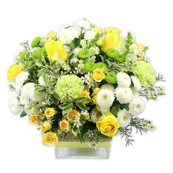 A lush, meticulously crafted bouquet in happy shades of yellow, white, and green is displayed in a clear, square glass vase, photographed against a pristine white backdrop that sharpens every line and colour. The arrangement forms a rounded, almost domed silhouette, its surface made up of layered textures and carefully balanced blooms. Dominant yellow roses, some fully opened with velvety spirals of petals and others still in elegant bud, create focal points of warm golden light. Intermingled with them are smaller yellow spray roses that cluster like tiny suns, filling spaces and adding a sense of generous abundance. White pompom chrysanthemums sit proudly among the roses, their dense, spherical heads composed of hundreds of fine petals, giving the design a pillowy, almost tactile softness you can imagine brushing your fingertips across. Bright lime green button chrysanthemums punctuate the bouquet with compact, globe-like dots of colour, while larger, pale green, frilled flowers-reminiscent of carnation or green chrysanthemum varieties-soften the transitions between hues. The lush greenery beneath includes broad, variegated leaves edged in white, paired with more delicate, darker filler foliage that arches around the blooms, echoing the mature trees lining Hither Green's quiet residential streets. Tiny white filler flowers are scattered throughout, like stars in between clouds, creating highlights and visual rhythm. The stems are gathered tightly in a low, square vase, which is dressed around its centre with a rustic, woven band of natural fibre, topped with a neat strip of lime green ribbon that ties the colour story together. The overall impression is one of freshness, optimism, and refined cheer-a bouquet that would sit beautifully on a dining table in a Hither Green flat or on a hallway console, welcoming guests with the quiet joy of a thoughtfully designed local florist's work.